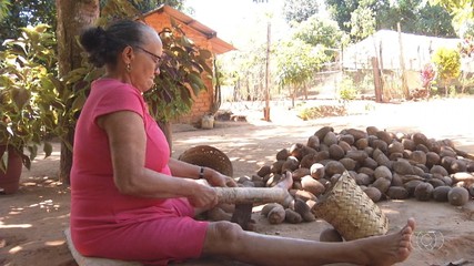 Trabalho das quebradeiras de coco babaçu é Patrimônio Cultural do Brasil
