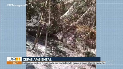 Advogado explica o que configura crime ambiental