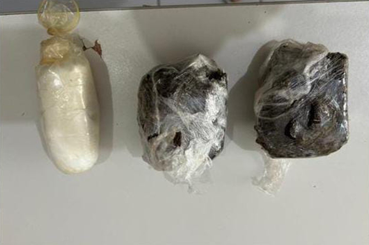 Cão farejador encontra drogas dentro de galinha congelada e em embalagens de extratos de tomate enviados em navio a Noronha