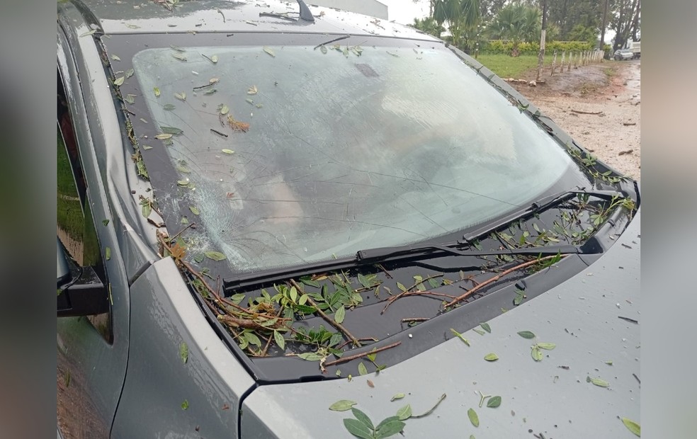 Carro foi atingido por queda de árvore em Itapeva, nesta quinta-feira (1º) — Foto: Defesa Civil de Itapeva/Reprodução