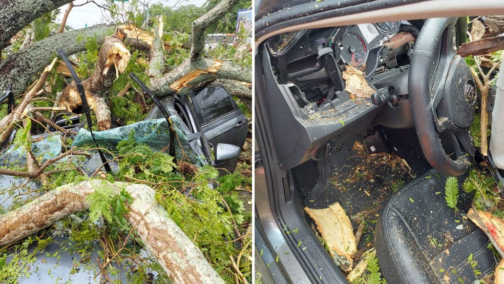 Carro atingido por árvore em Pacajus estava com três passageiros — Foto: Corpo de Bombeiros