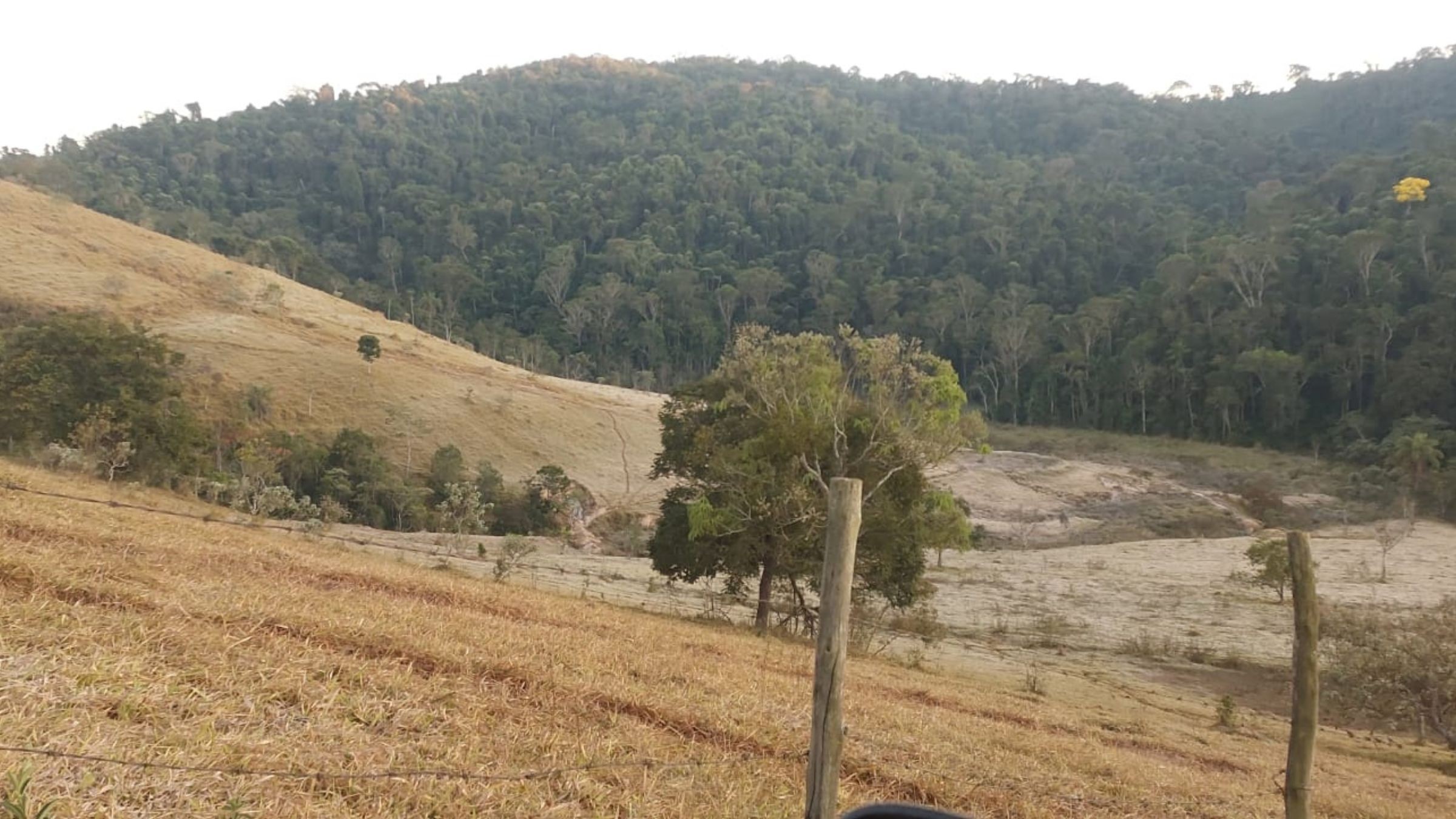 Frio abaixo de zero marca dia mais gelado do ano em Uberlândia e congela lavouras na região