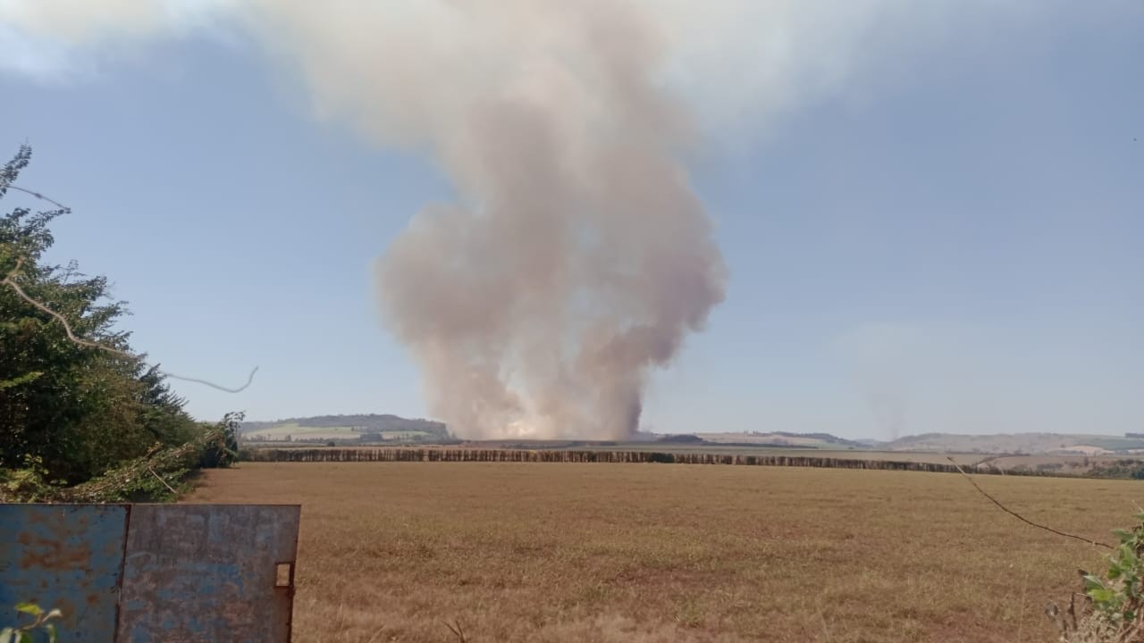 Incêndios atingem áreas de mata e vegetação em quatro cidades da região