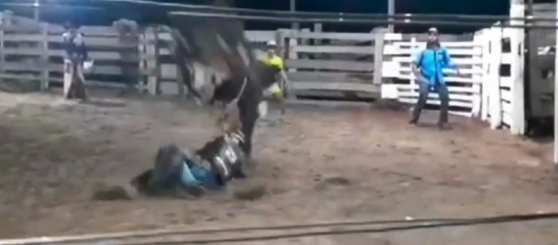 Adolescente cai de touro e morre ao ser pisado pelo animal durante treinamento para prova de montaria em MT; vídeo