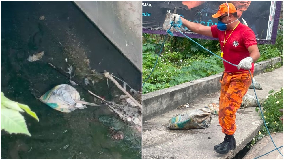Sacos com os corpos estavam jogados em um canal na Avenida Francisco Sá. — Foto: Reprodução