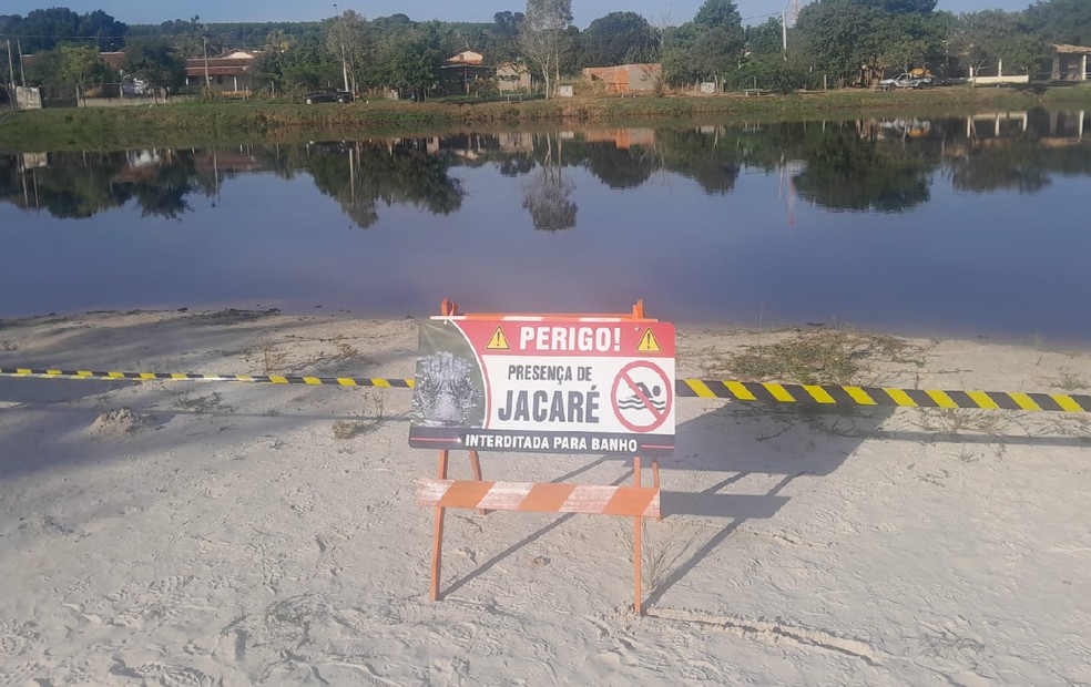 1 de 3
Prefeitura de Botucatu interdita lagoa ap&oacute;s jacar&eacute; ser flagrado pr&oacute;zimo a &aacute;rea de lazer &mdash; Foto: Prefeitura de Botucatu/Reprodu&ccedil;&atilde;o