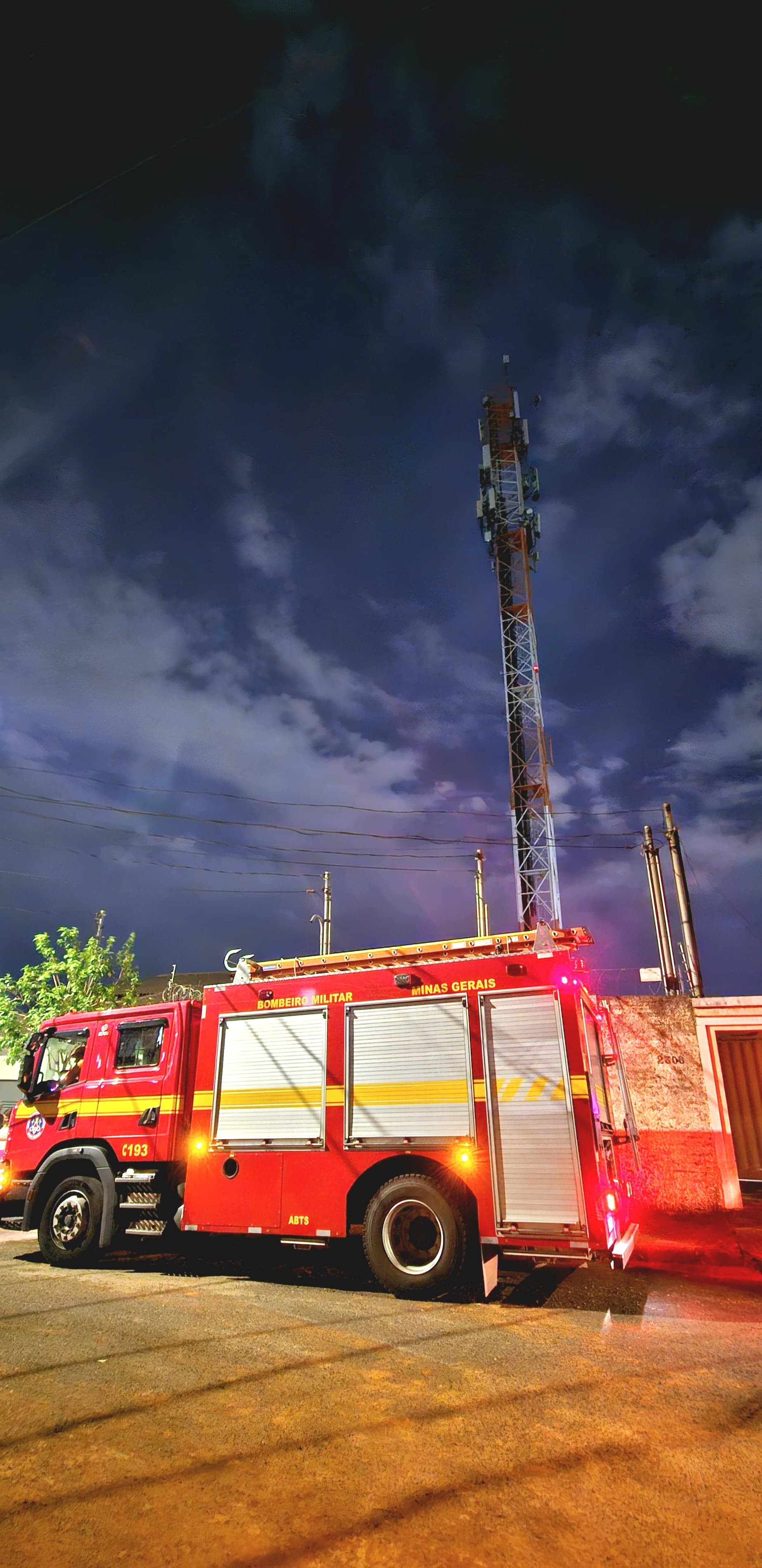 Filhote de carcará é resgatado de torre de transmissão em Uberlândia 