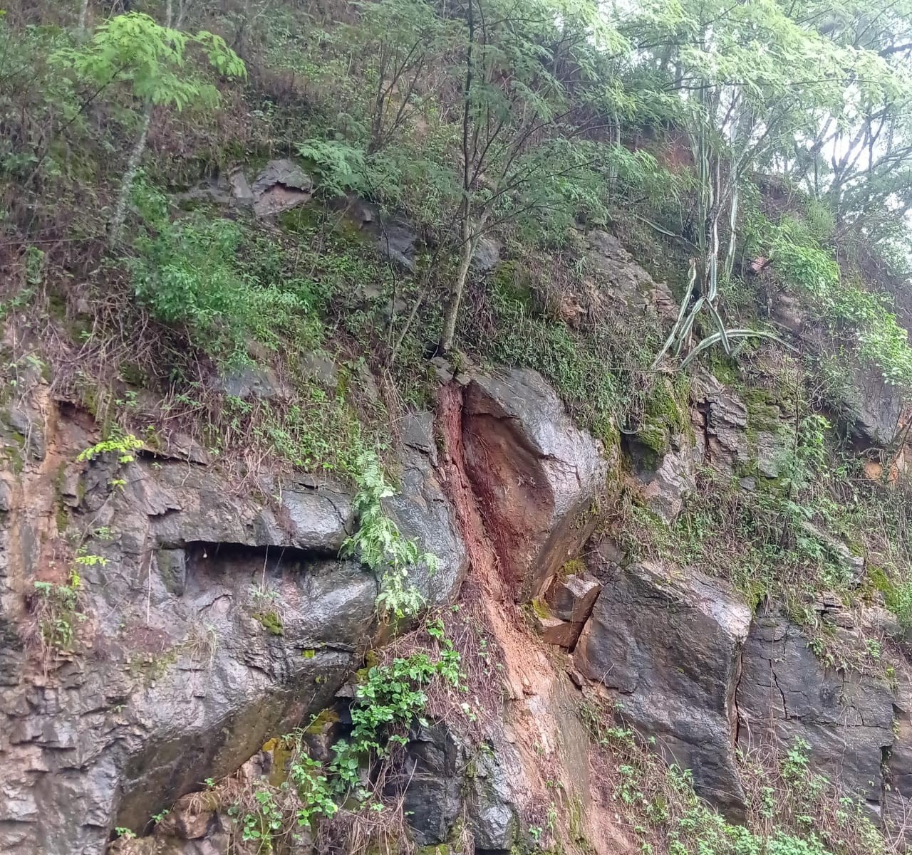 Temporais provocam alagamentos, deslizamentos e risco de falta d’água em cidades da Zona da Mata