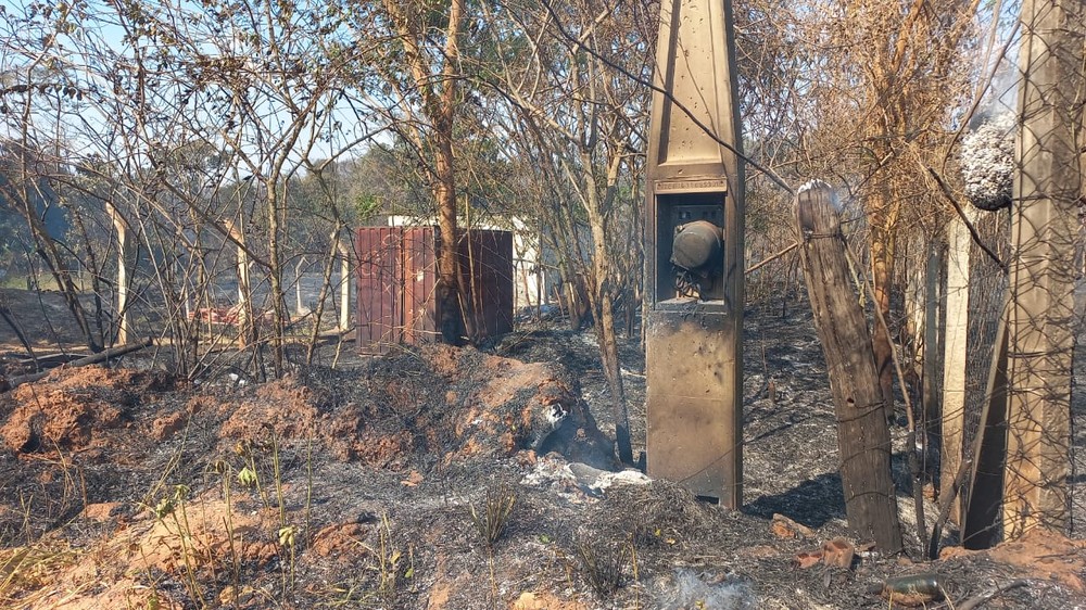 Incêndio em canavial atinge vegetação, chega a condomínio de chácaras e consome ferro-velho em Rio Preto
