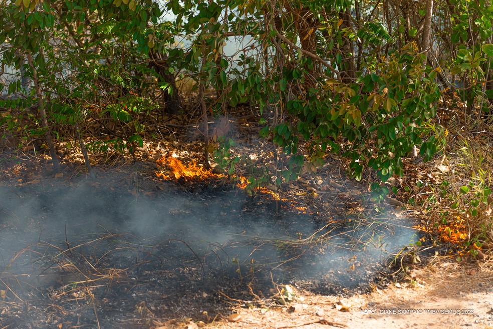 Três municípios de Roraima decretam emergência por causa dos incêndios florestais