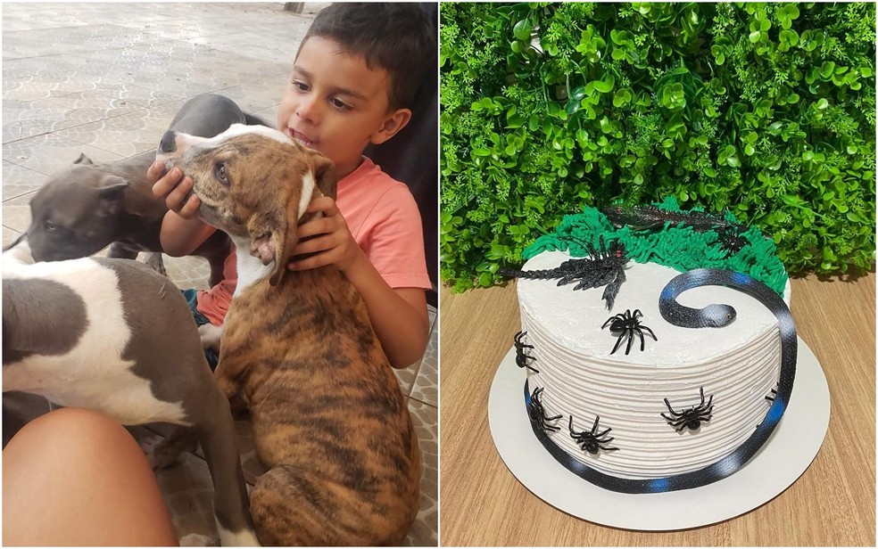 Garoto que salvou cachorro de ataque de abelhas é apaixonado por animais — Foto: Arquivo pessoal/Rebeca Amorim