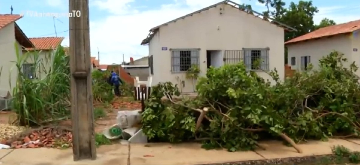 Moradores iniciam reconstrução após rastro de destruição em Palmas: 'Nunca tinha visto isso'