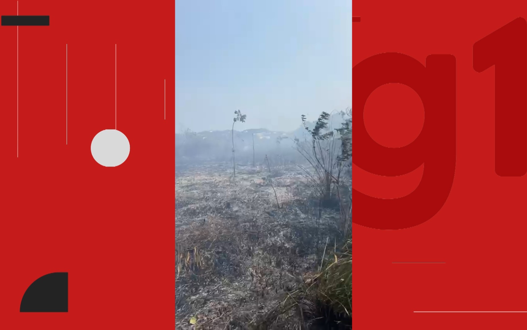 Incêndio atinge reserva indígena em cidade na Bahia; cacica relata mortes de cobras, gaviões e corujas