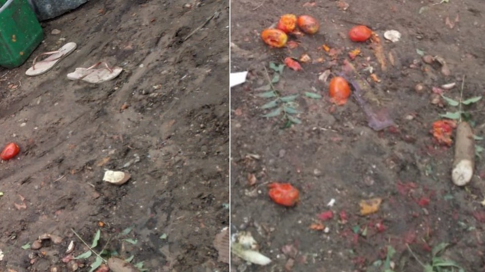 Homem dava comida aos porcos quando foi atacado e morreu em Teresina — Foto: Reprodução