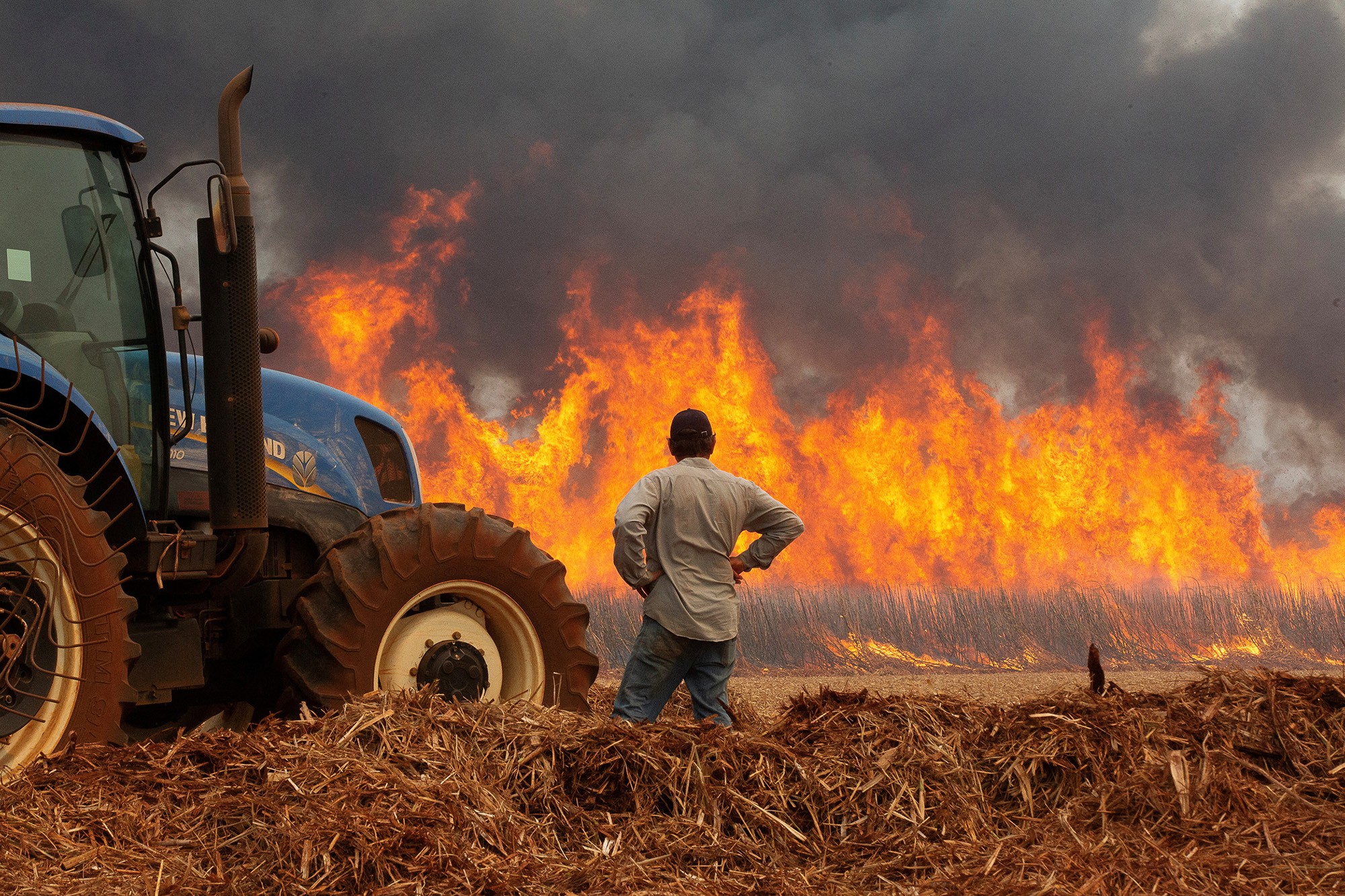 Estado de SP amanhece com 17 cidades com focos ativos de incêndio neste sábado