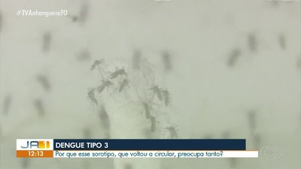 Dengue tipo 3 volta a circular no Brasil; saiba os sintomas