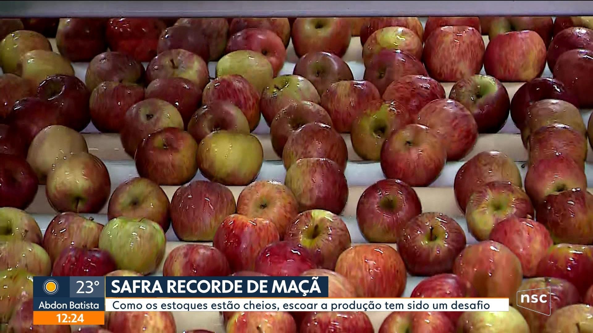 VÍDEOS: Jornal do Almoço - SC de sábado, 18 de julho de 2026