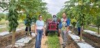 Visita Técnica do Sebrae no Sítio Nova Vida em Mâncio Lima — Foto: Sebrae/AC