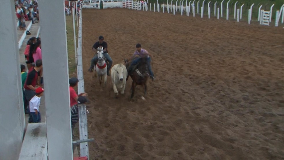 Vaqueiros precisam derrubar o boi na faixa durante a competição — Foto: TV Bahia