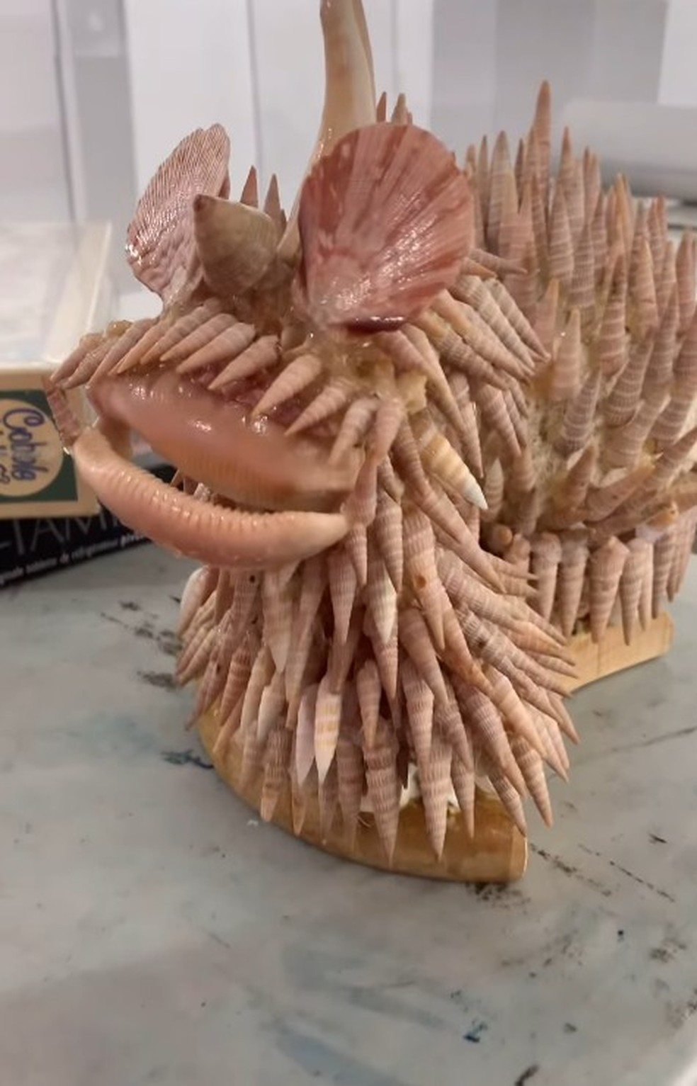 Objeto selecionado para o Museu dos Presentes Ruins de Toronto — Foto: Instagram