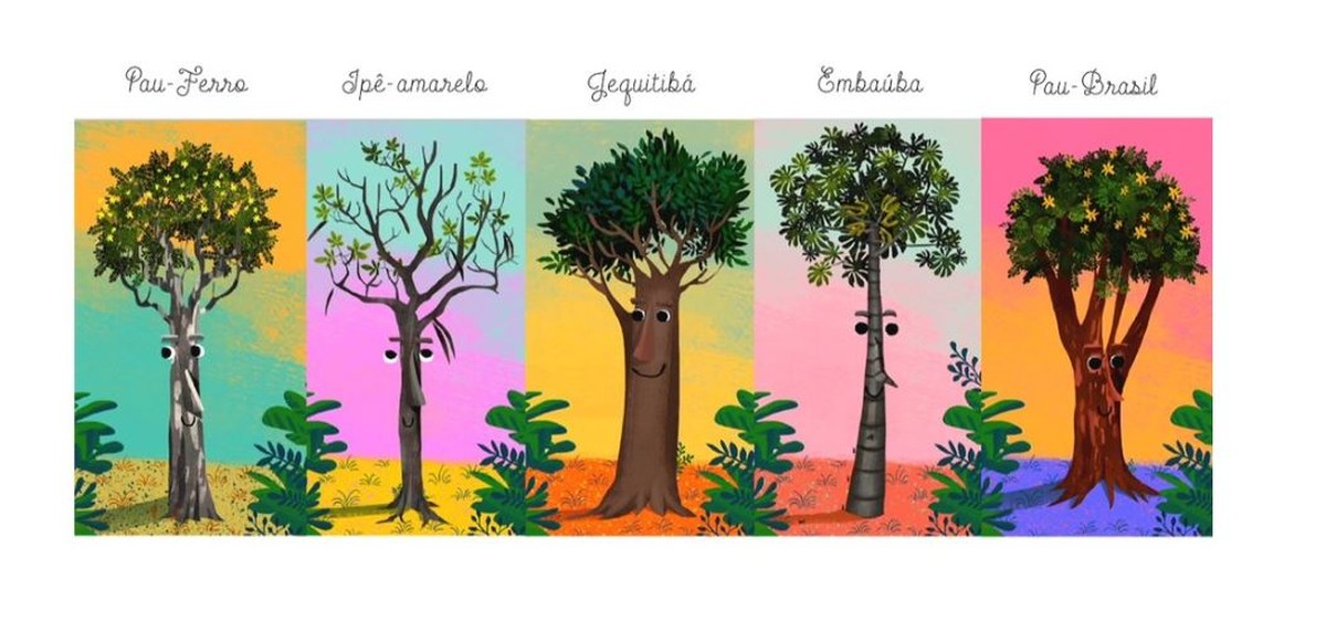 Aplicativo educativo 'dá voz' às árvores da Mata Atlântica, Terra da Gente