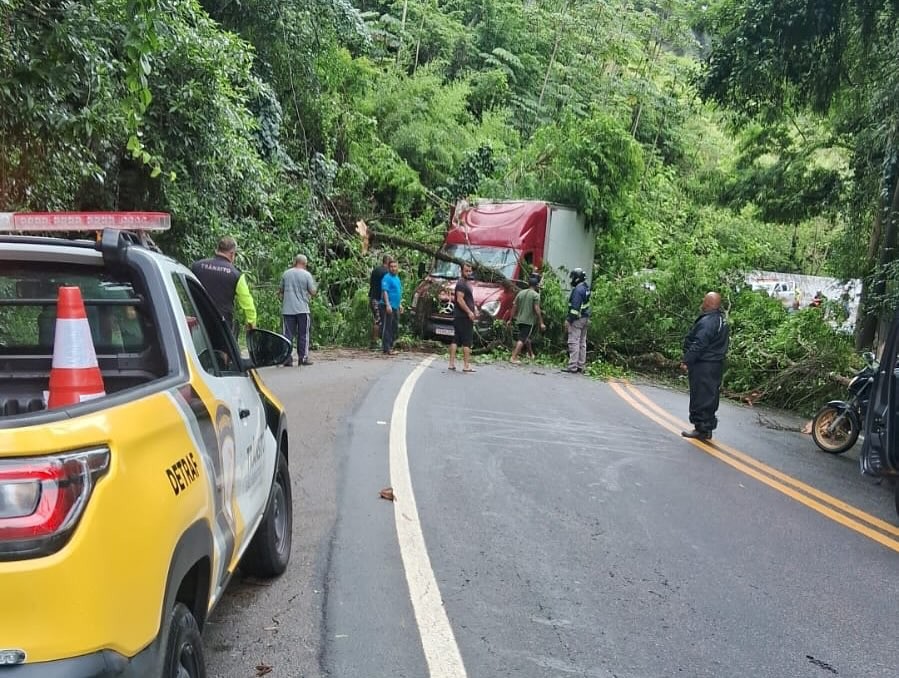 Queda de árvore interdita trecho da Rio-Santos, em São Sebastião