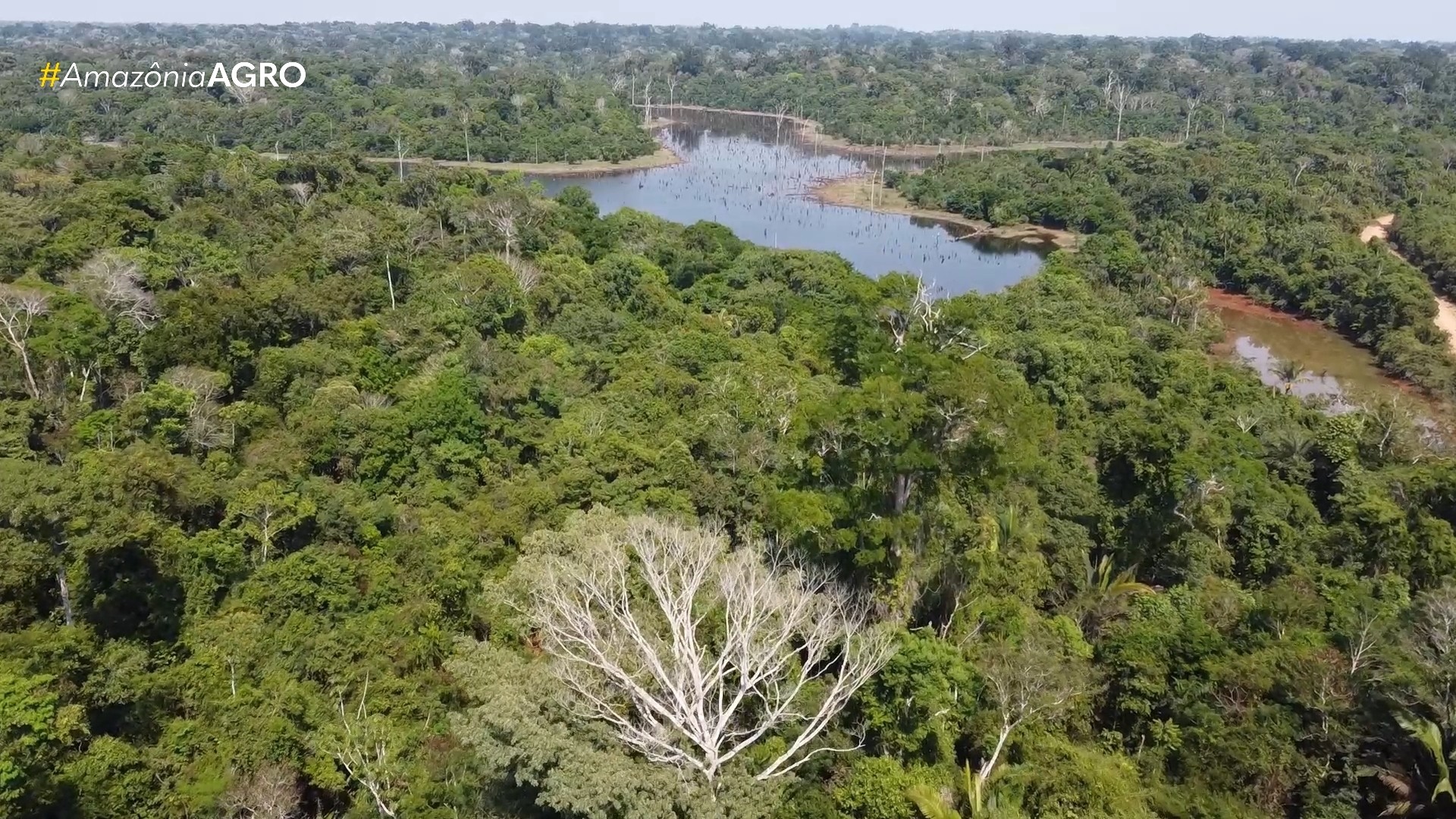 Assista ao Amazônia Agro deste domingo, 12 de abril de 2026