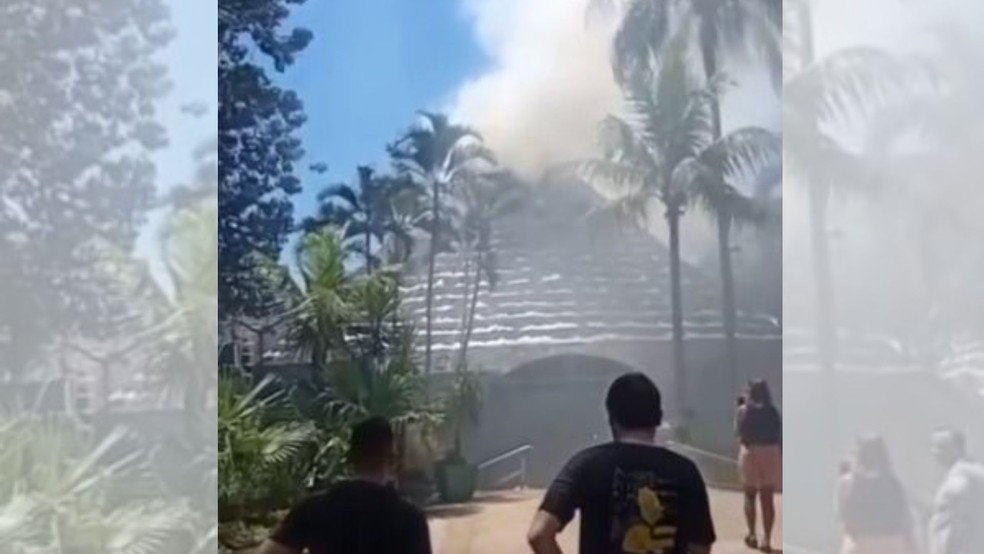 2 de 2
Fogo foi controlado ap&oacute;s duas de trabalho em Pederneiras &mdash; Foto: Arquivo pessoal