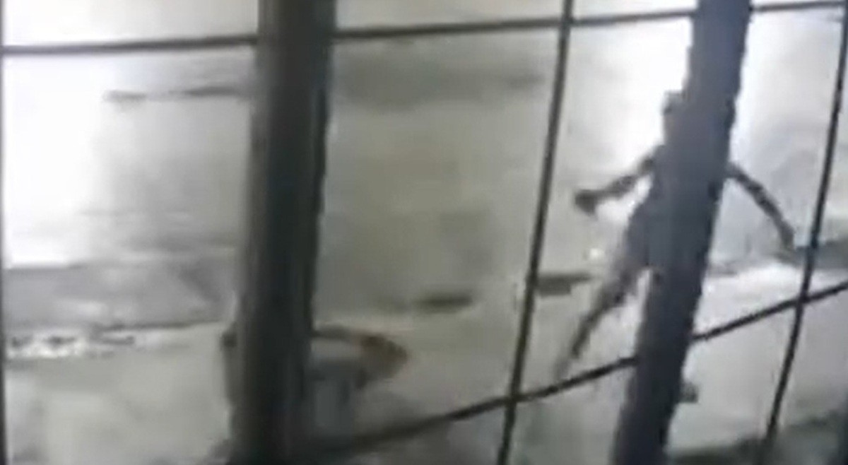 Jovem é assassinado após perseguição com mais de 20 tiros no Recife; VÍDEO