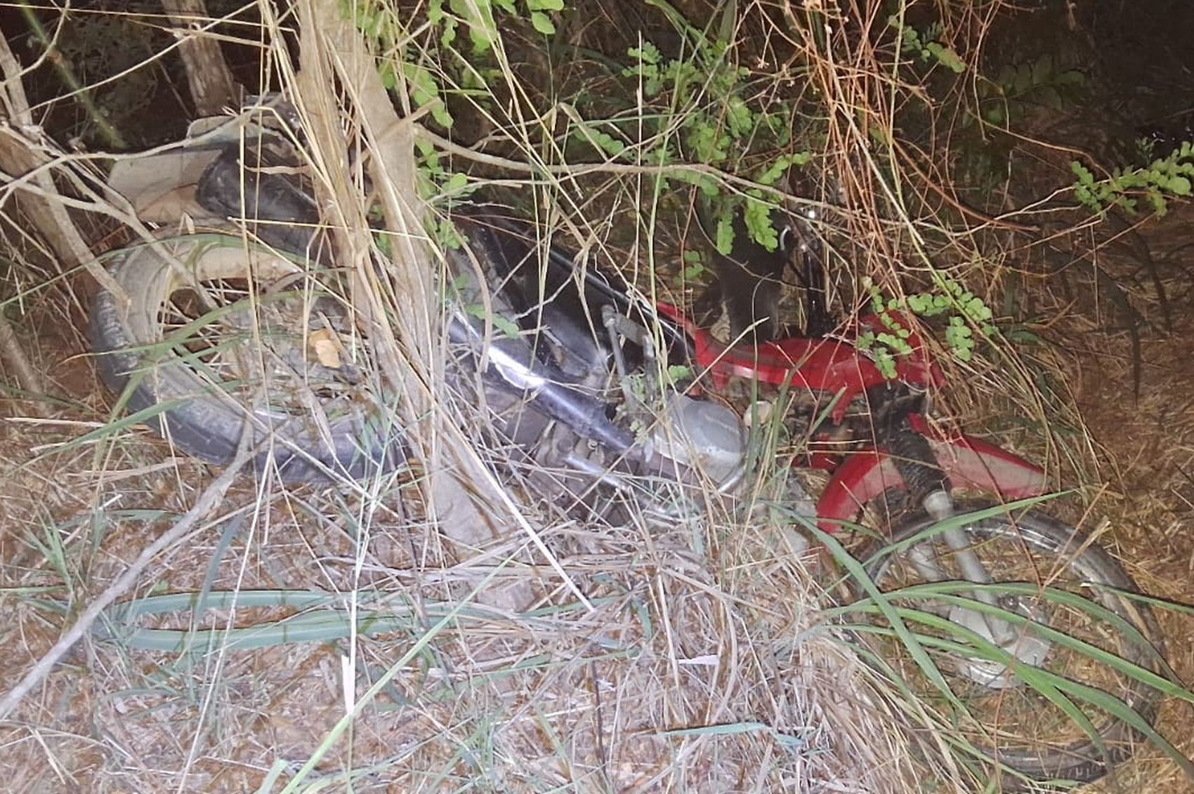 Motociclista morre após perder controle do veículo e sair de pista na SE-200 em Porto da Folha