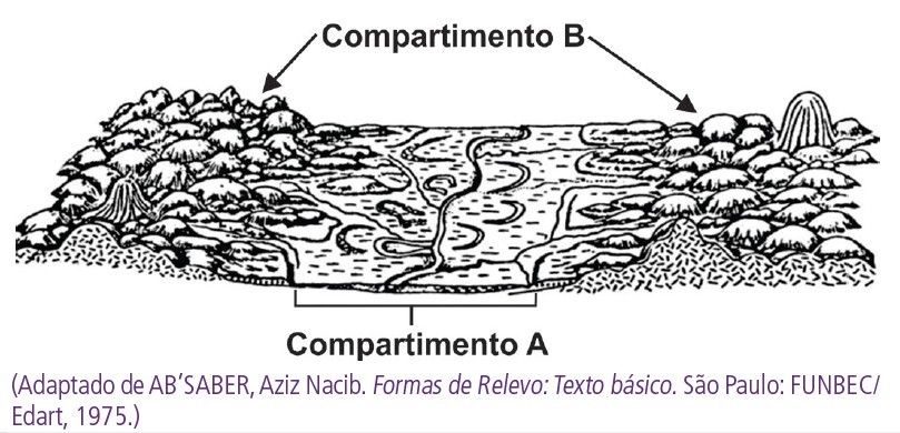 Unicamp 2026: faça o QUIZ e teste seus conhecimentos sobre o vestibular