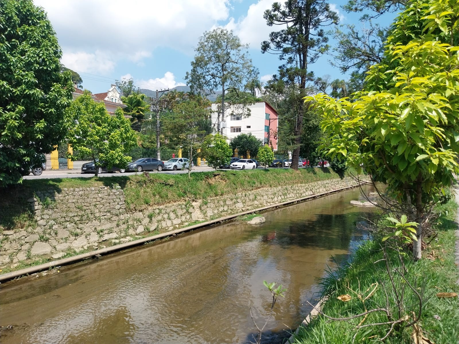 Vídeo mostra crianças tomando banho no Rio Piabanha, em Petrópolis, e autoridades alertam para riscos à saúde