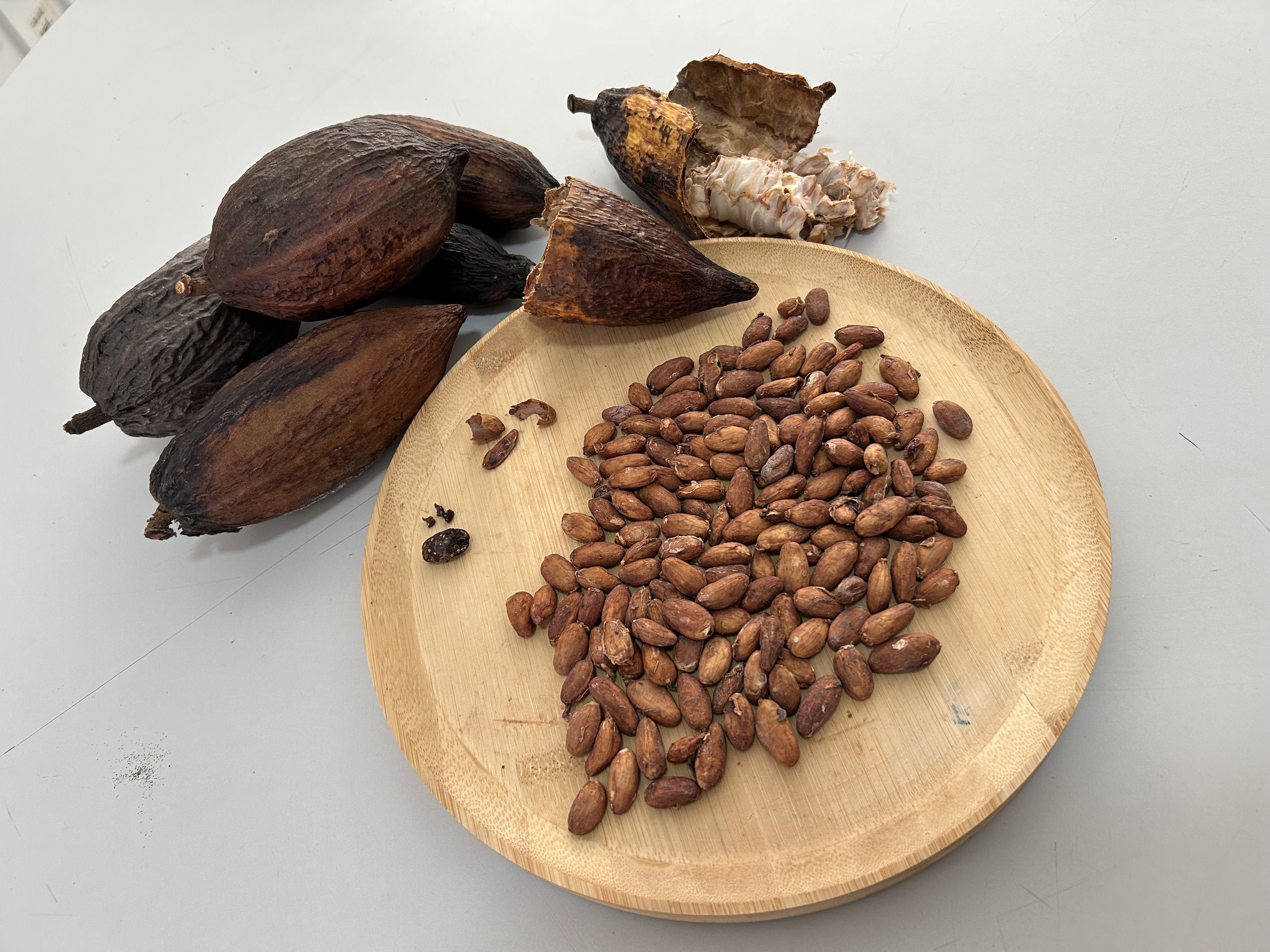 Governo suspende temporariamente importação de cacau da Costa do Marfim