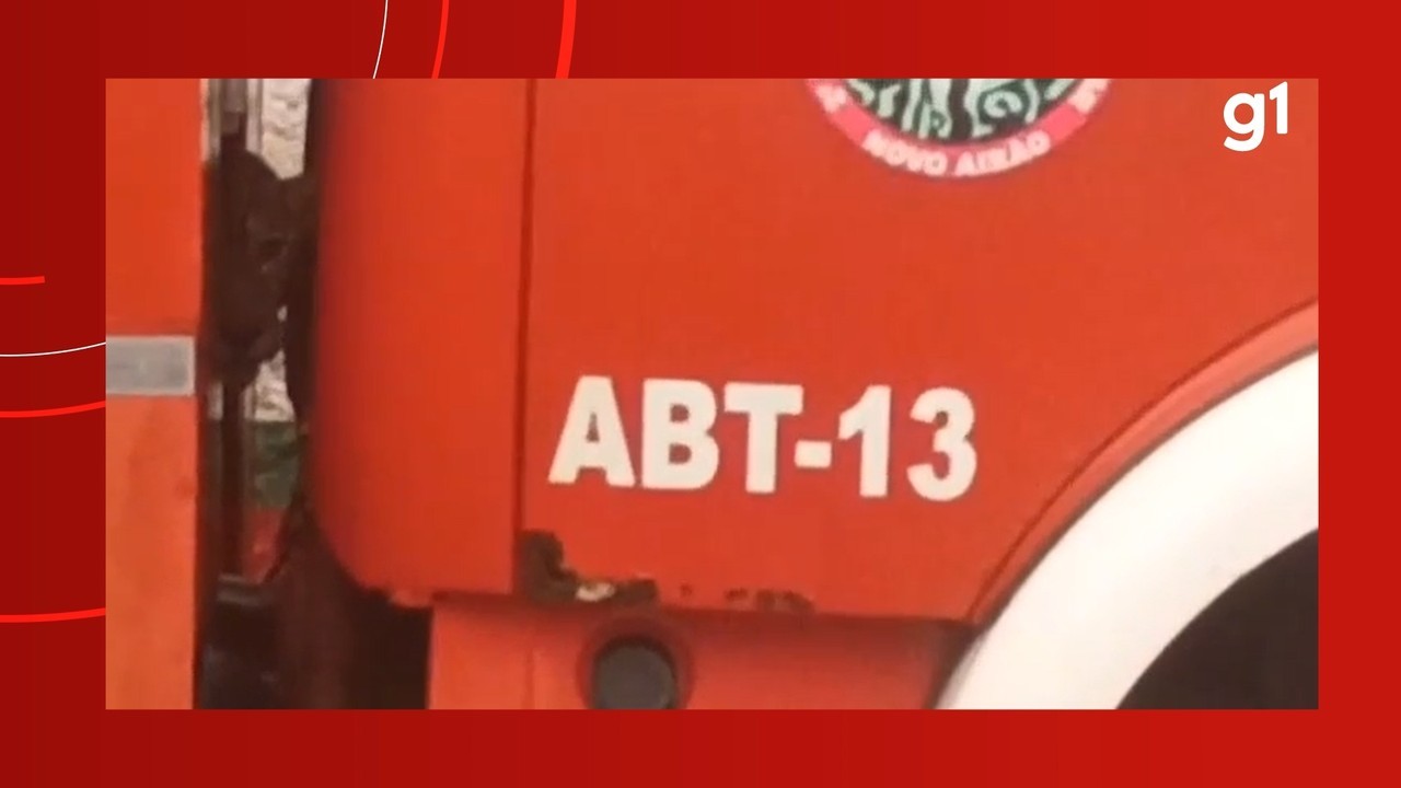 Onça sai de mata e se esconde em caminhão de bombeiros no AM; VÍDEO