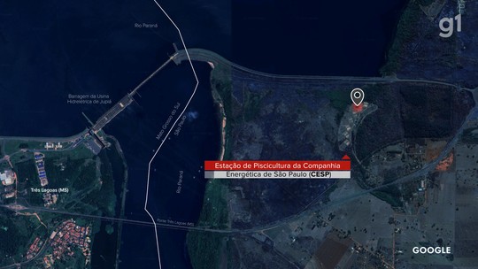 Órgãos ambientais são acionados para investigar falta de repovoamento de peixes há mais de uma década no Rio Paraná - Estação de Piscicultura da Companhia Energética de São Paulo (Cesp) está desativada.