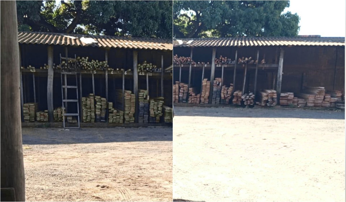 Madeireira é multada em quase R$ 5 mil por vender madeira nativa sem documentação em Rancharia