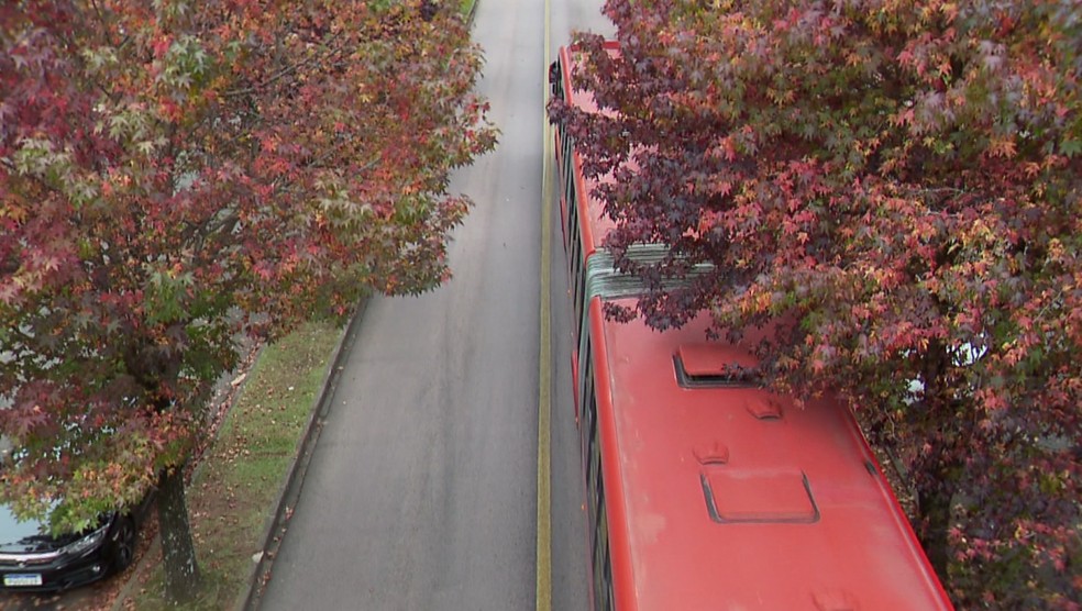 Rua do Outono, em Curitiba. — Foto: Reprodução/RPC