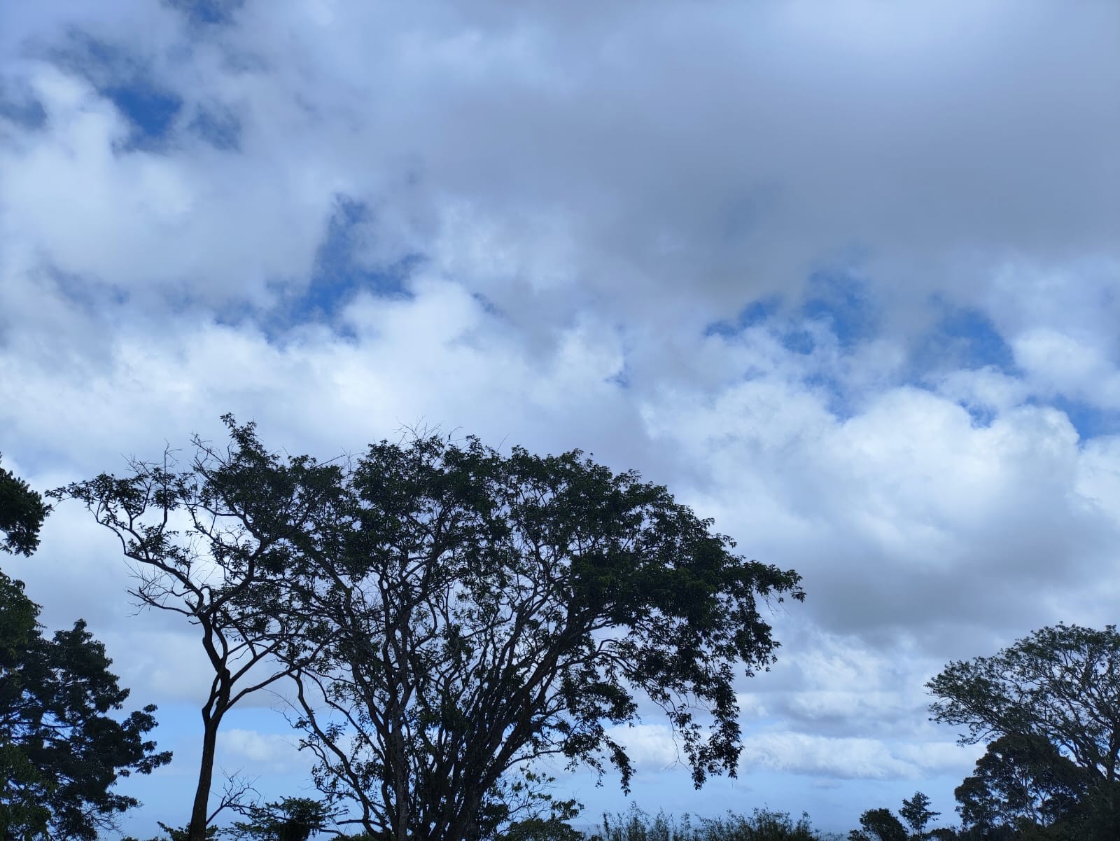 Temperaturas chegam a 32 °C em Santa Catarina nesta sexta-feira; veja previsão do tempo