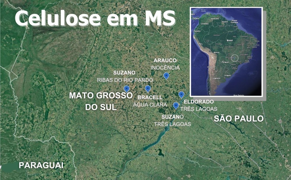 A indústria da celulose em MS — Foto: g1 MS
