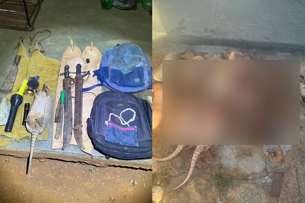 Caça na Serra da Capivara: homens são flagrados com tamanduá, tatus, gambás e preás abatidos