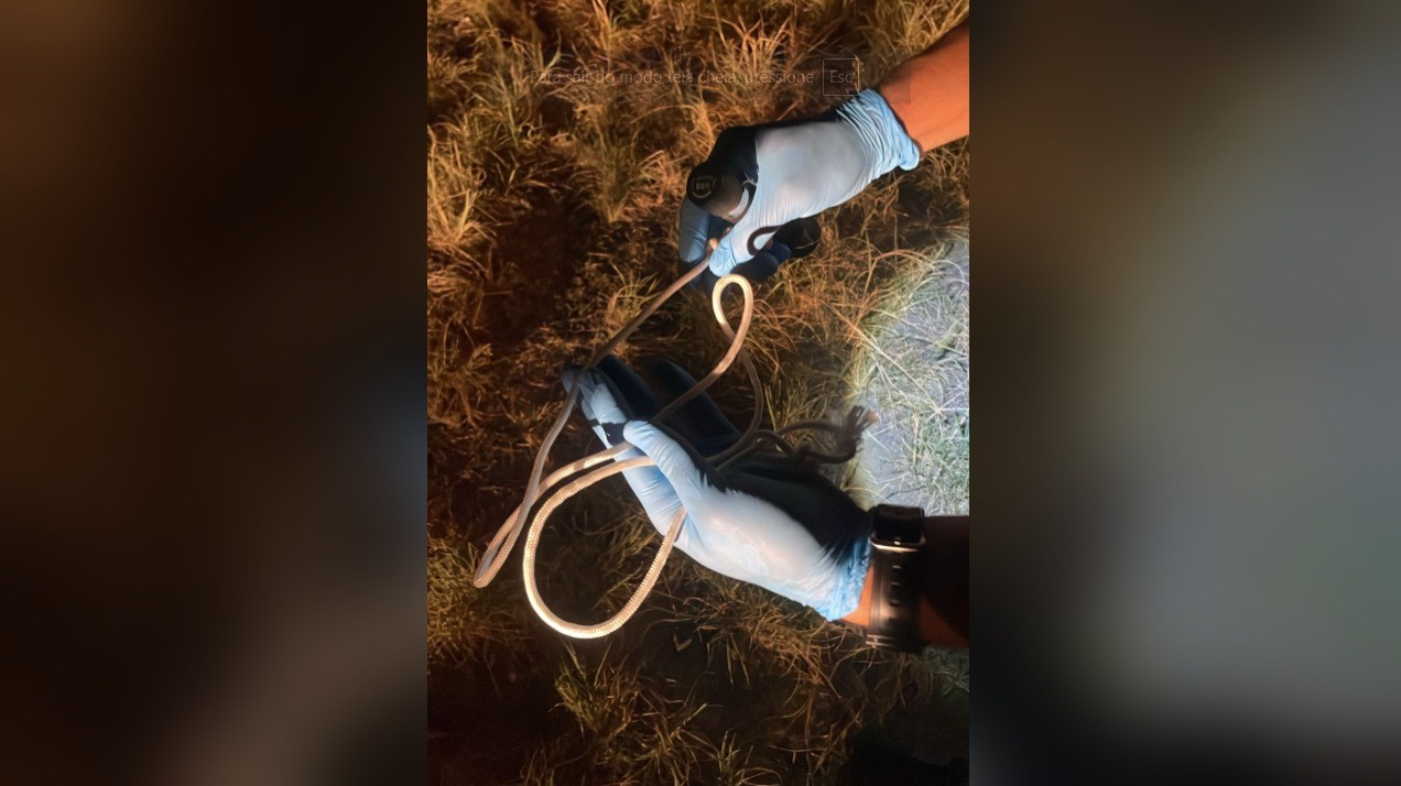 Preso por agredir mulher quase até a morte queria desovar corpo | G1