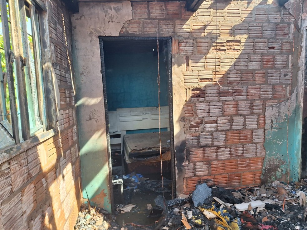 Cachorros morrem durante incêndio em residência provocado pelo próprio morador, em Osvaldo Cruz (SP) — Foto: Corpo de Bombeiros