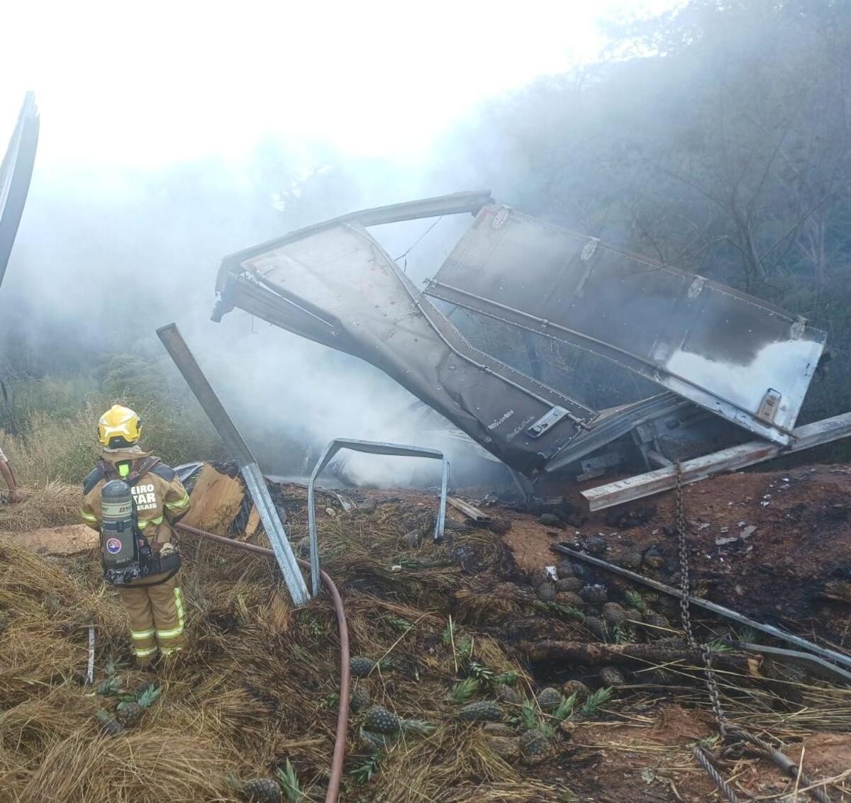 Caminhão carregado com nove toneladas de abacaxi pega fogo após acidente na BR-251