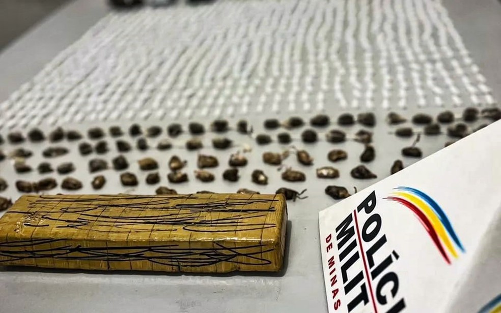 Polícia apreende mais de 600 pinos de cocaína e pedras de crack com adolescentes em Itajubá — Foto: Polícia Militar