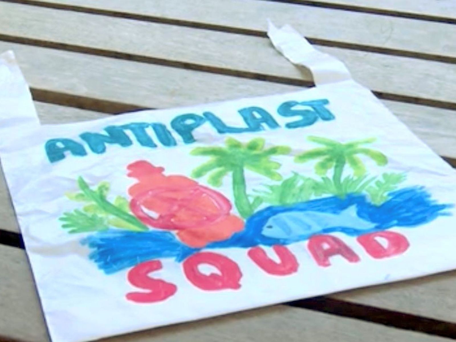 Alunos transformam plásticos recolhidos no bairro da escola no AC em sacolas sustentáveis 