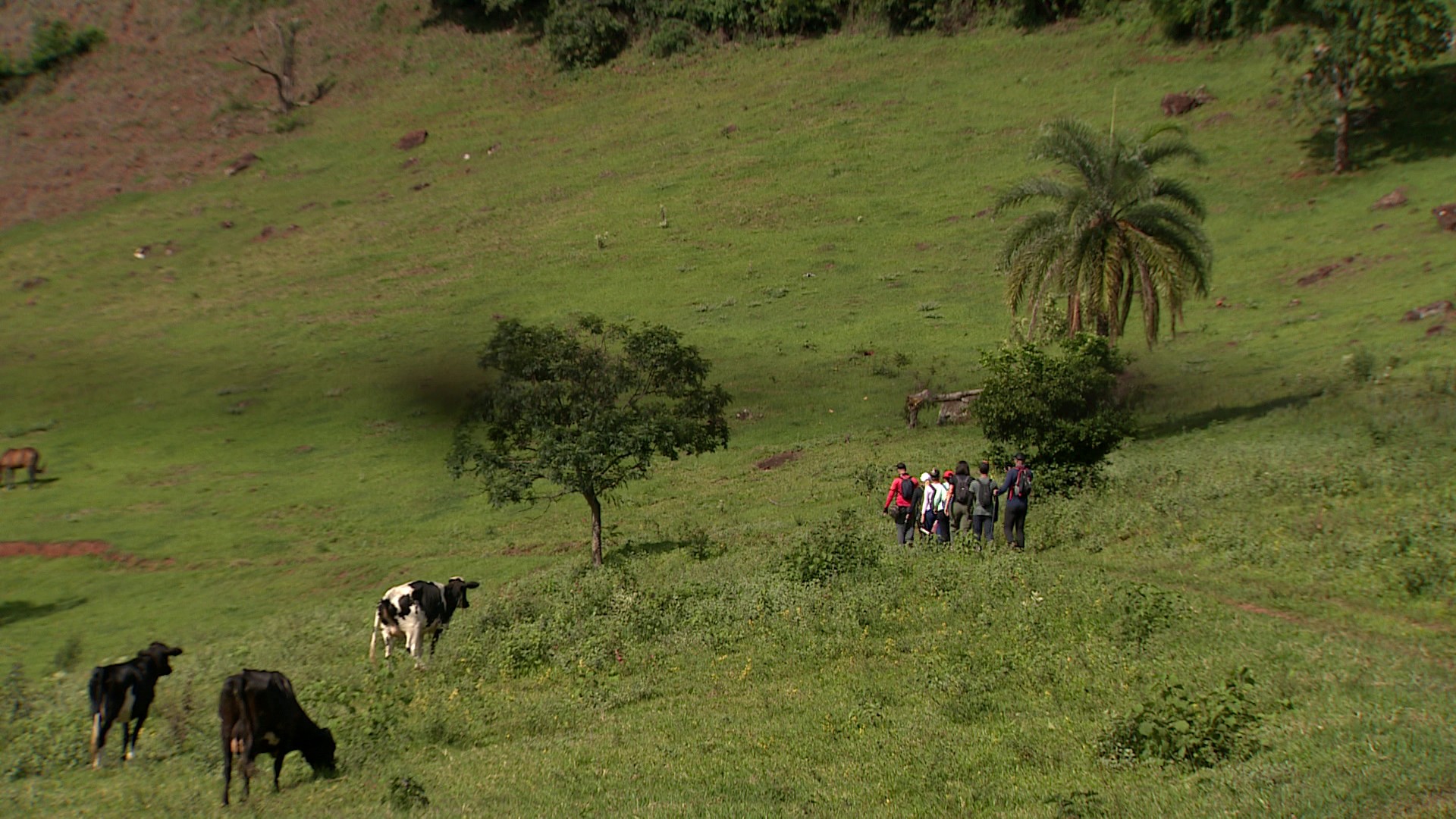 Trilhas na região de Ribeirão Preto: tudo o que você precisa saber antes de visitar