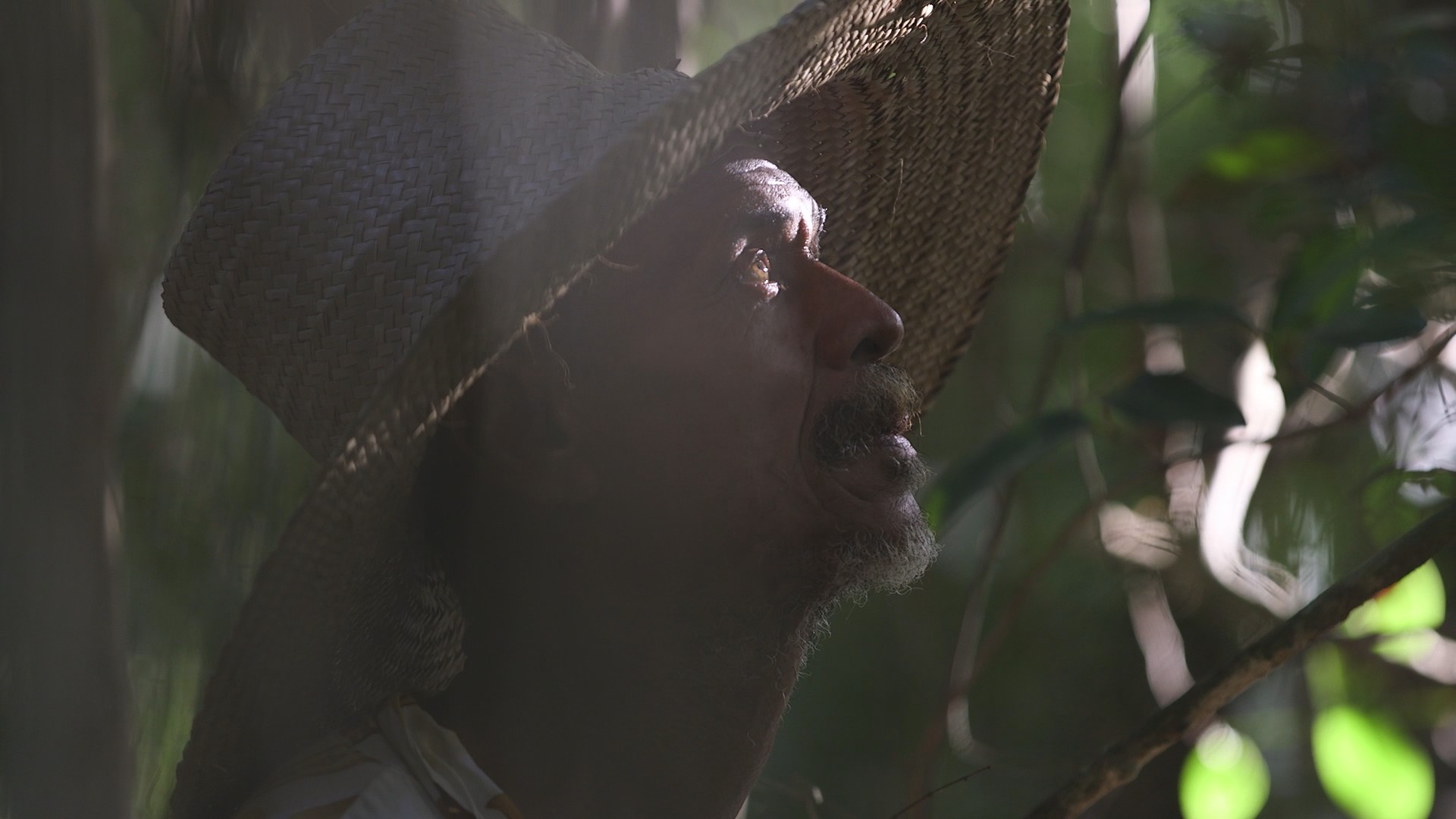 Gigante pela própria natureza: confira as atrações do 7º episódio de ...
