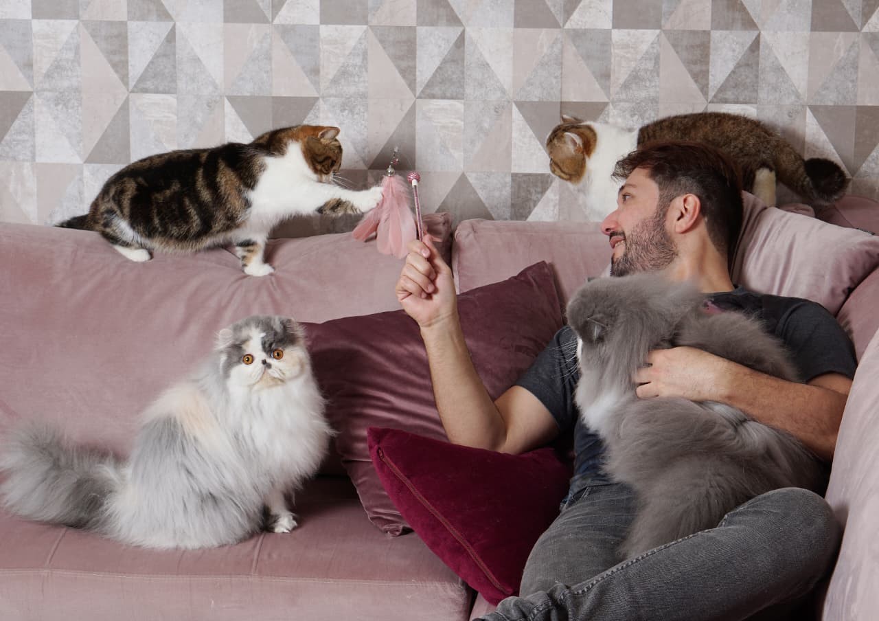 Criador premiado relata rotina com gatos exóticos e fala sobre tornar paixão em profissão