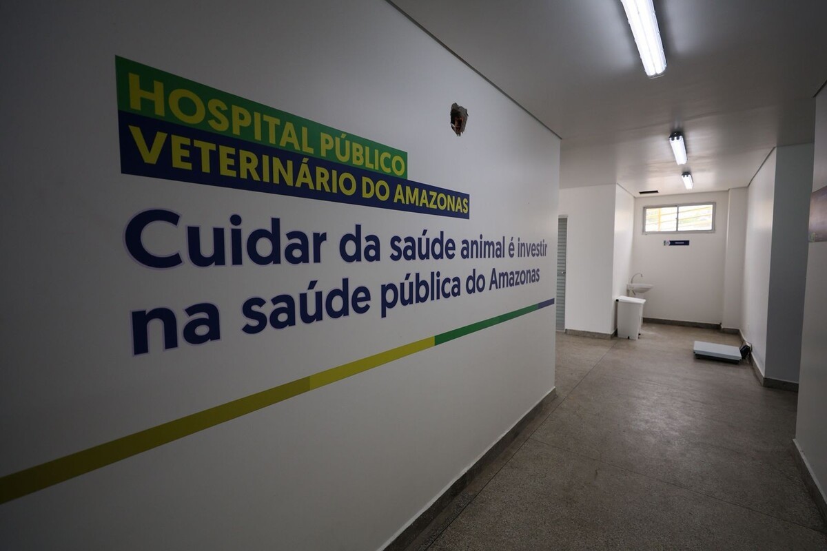 Amazonas ganhará primeiro Hospital Veterinário no Dia Mundial dos Animais