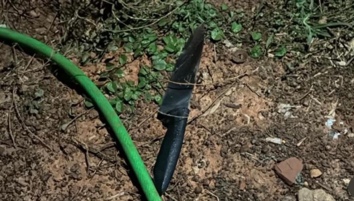 Adolescente mata padrasto a facadas após agressões contra a mãe em MG